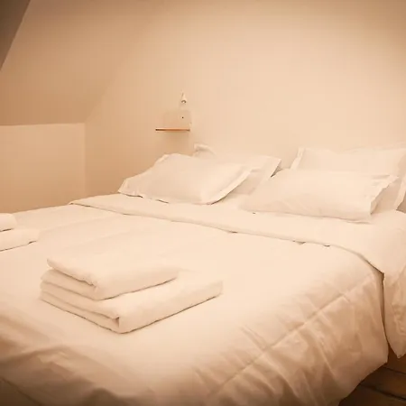 Magnifique Loft Festif Lejlighed
